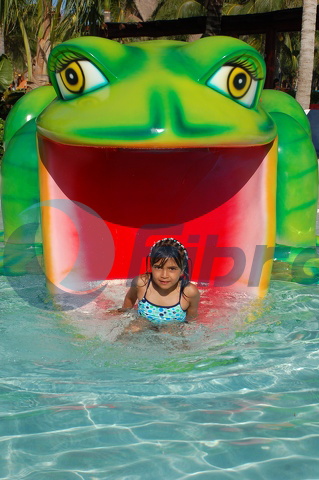 Frog_water_slide.jpg