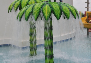 Palm water raindrop
